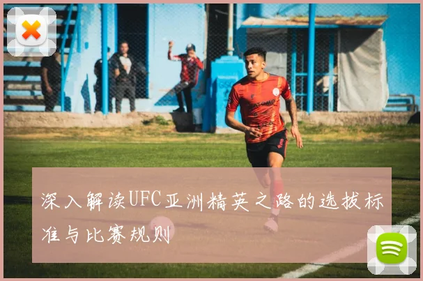 深入解读UFC亚洲精英之路的选拔标准与比赛规则