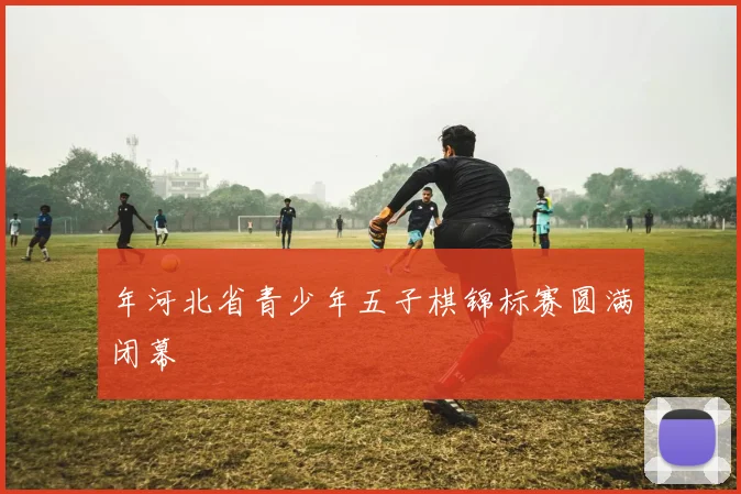 年河北省青少年五子棋锦标赛圆满闭幕