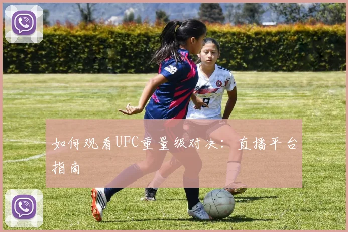 如何观看UFC重量级对决：直播平台指南