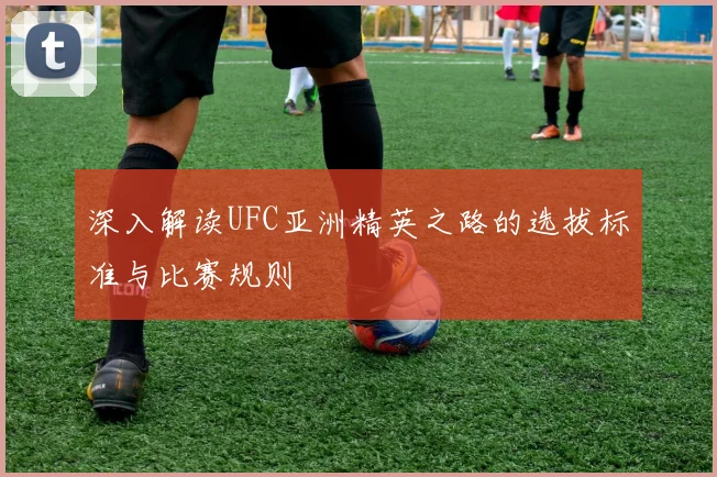深入解读UFC亚洲精英之路的选拔标准与比赛规则