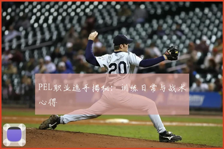 PEL职业选手揭秘:训练日常与战术心得