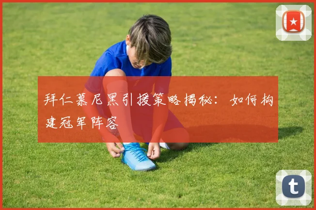 拜仁慕尼黑引援策略揭秘：如何构建冠军阵容
