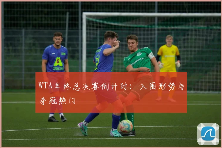 WTA年终总决赛倒计时：入围形势与夺冠热门