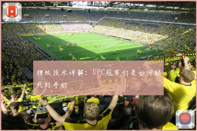 裸绞技术详解：UFC冠军们是如何锁死对手的