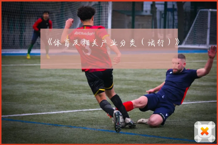 《体育及相关产业分类（试行）》