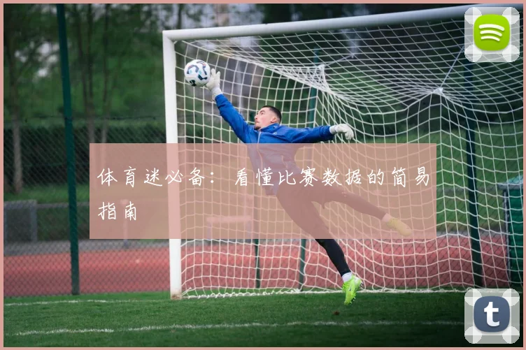 体育迷必备:看懂比赛数据的简易指南