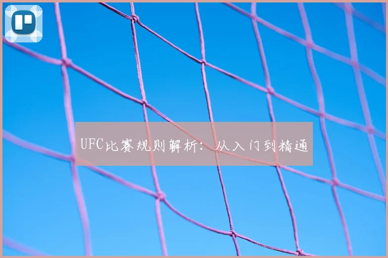 UFC比赛规则解析:从入门到精通