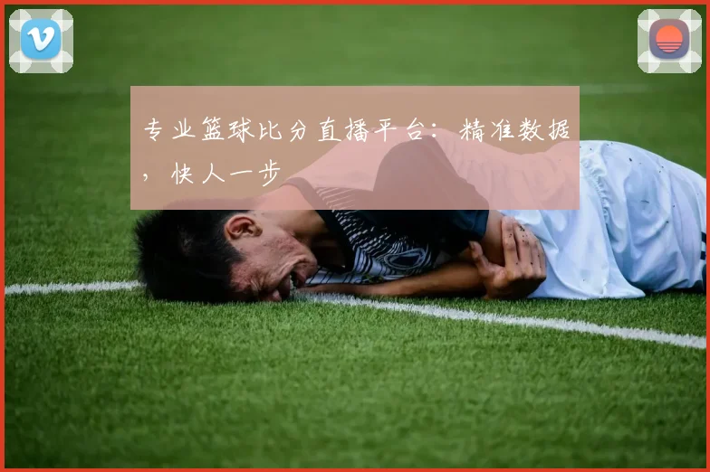 专业篮球比分直播平台:精准数据,快人一步