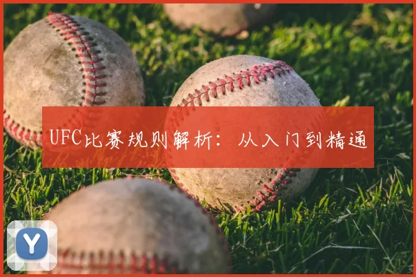 UFC比赛规则解析:从入门到精通