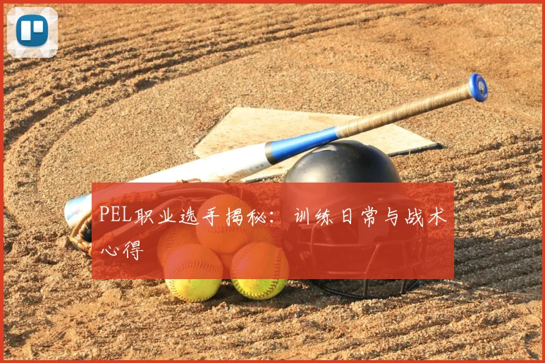 PEL职业选手揭秘：训练日常与战术心得