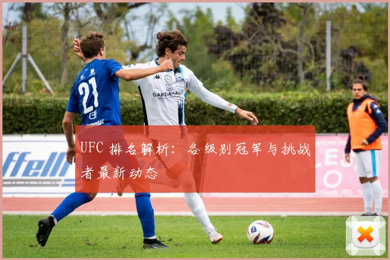 UFC 排名解析:各级别冠军与挑战者最新动态
